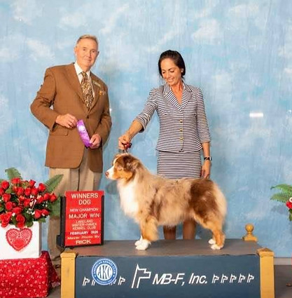 151256362_260614542169813_5202958676847829716_n_edited.jpg