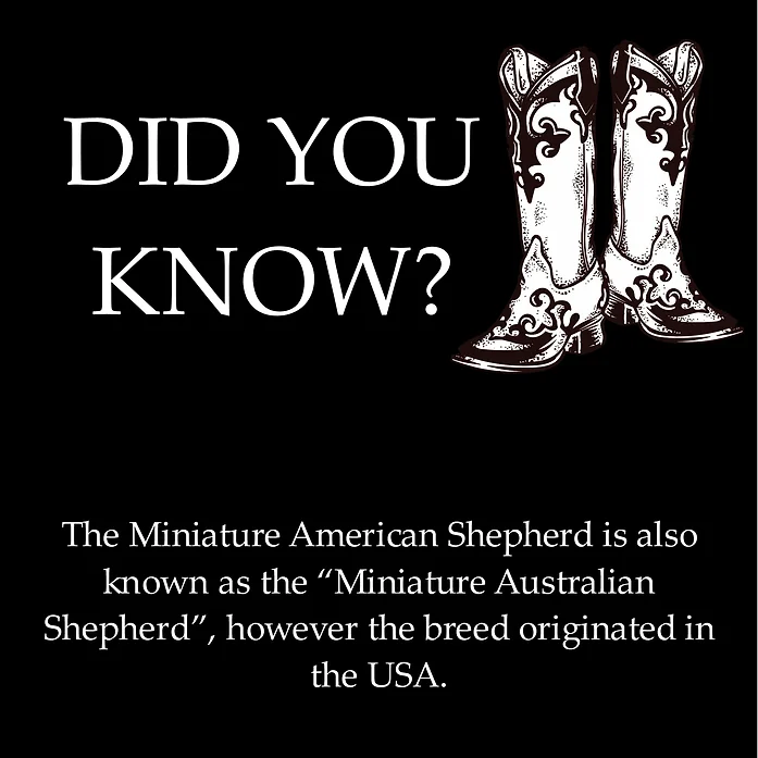 Did you know?