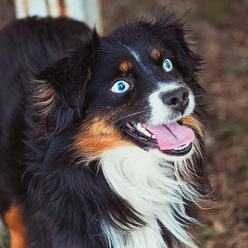 107824500_168385181392750_14225140981512