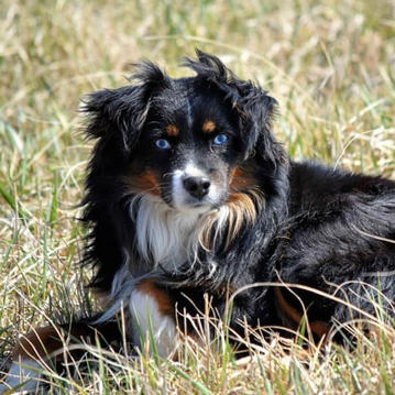 109338184_168385608059374_27088913936394