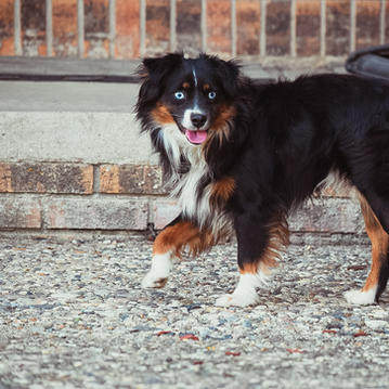 118486232_662262331053408_45323537299616