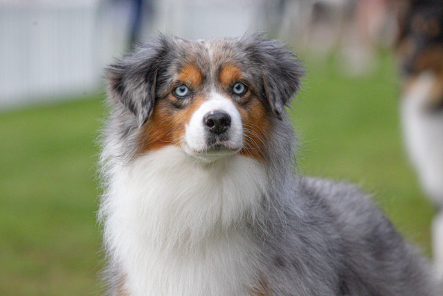 Peaceful Acres Turn back Time