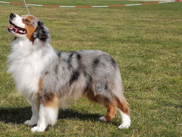 Peaceful Acres Turn back Time