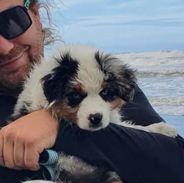 Wagon Tails Dream Girl