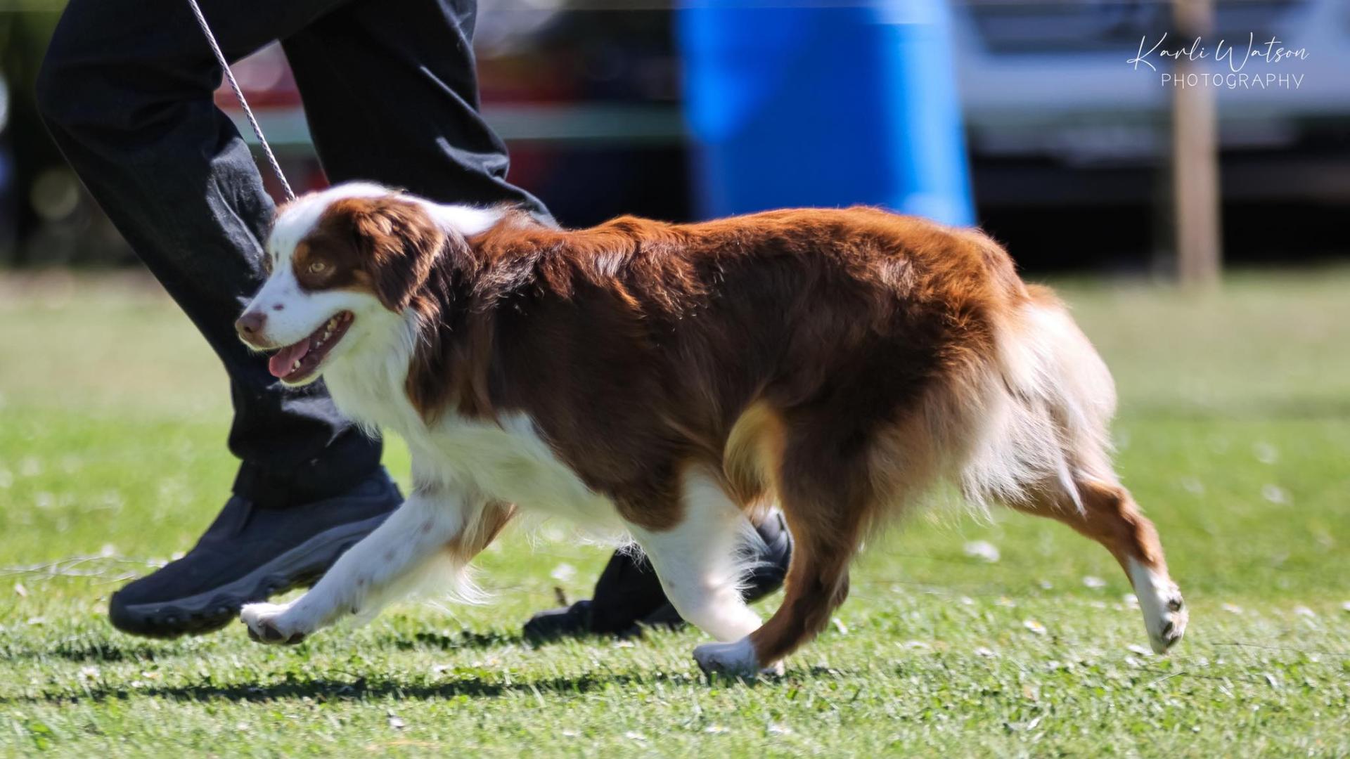 Peaceful Acres Turn back Time