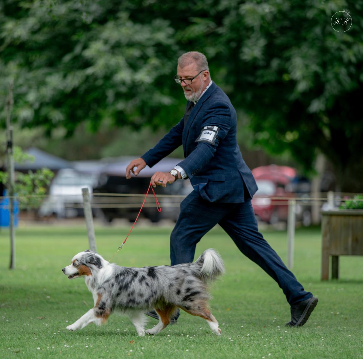 Wagontails Blue Sk'eyes
