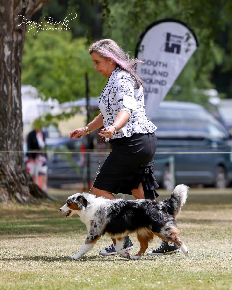 WagonTails Dancin 'N' Moonlite  NZ CH 03118-2023